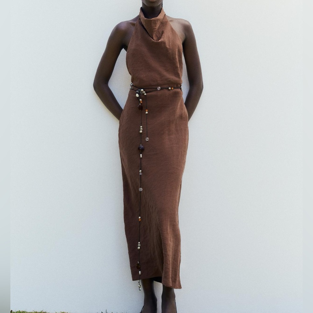 Zara Brown Maxi Dress